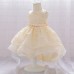 Elegant Champagne Lace Flower Girl Dress AZ005CP