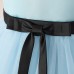 Elegant Sky Blue Tulle Flower Girl Dress AZ006SK